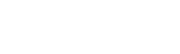 Danny Scheepers B.V. homepage